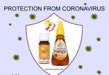 Can Bee Propolis cure Coronavirus?