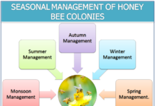 SEASONAL MANAGEMENT OF HONEY BEE COLONIES SEASONAL MANAGEMENT OF HONEY BEE COLONIES
