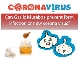 https://blog.superbeehoney.com/can-garlic-murabba-prevent-form-infection-or-new-coronavirus/