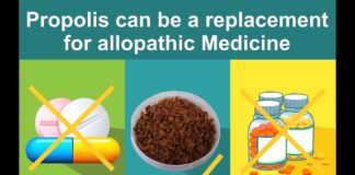 PROPOLIS : Another thing that Honey bees make.