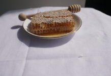 SuperBee Honey enriched with propolis – Health Investment